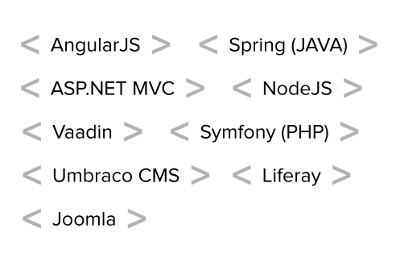 Expertise across major technologies