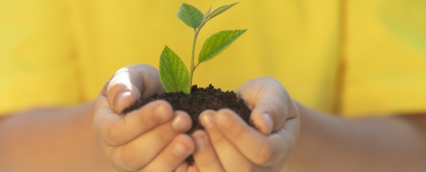 Sustainability in the technology sector from the perspective of AWS
