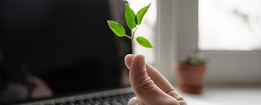Greening the Future: Top AI Strategies for the IT Industry