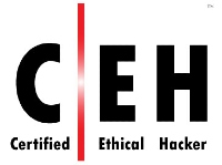 Cyber essentials partner logo